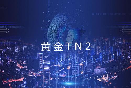 黄金TN2