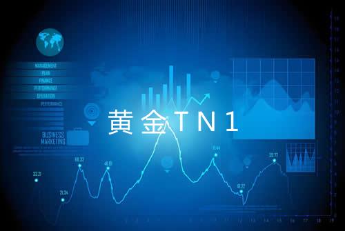 黄金TN1