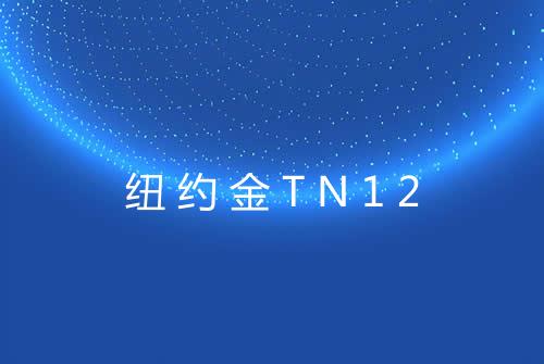 纽约金TN12
