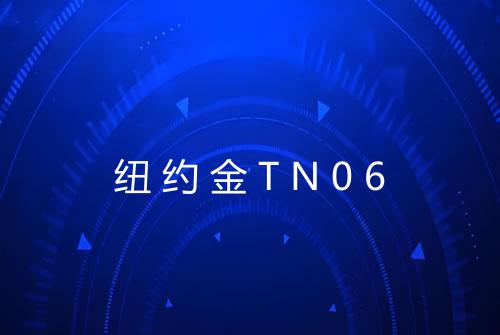 纽约金TN06