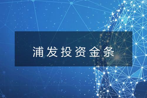 浦发投资金条