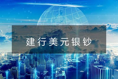 建行美元银钞