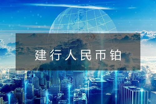 建行人民币铂