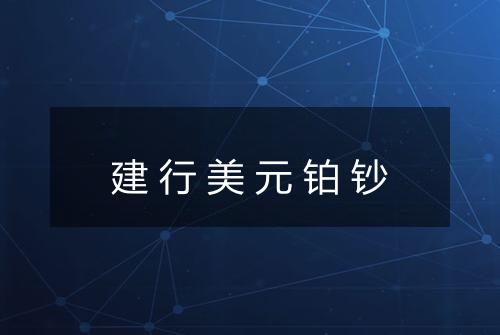 建行美元铂钞