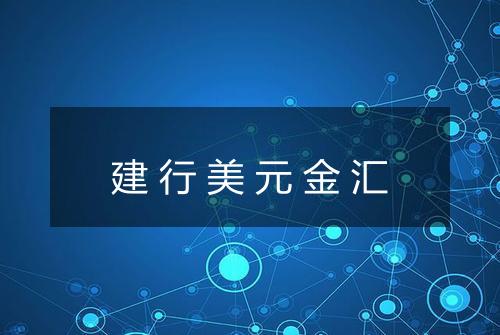 建行美元金汇