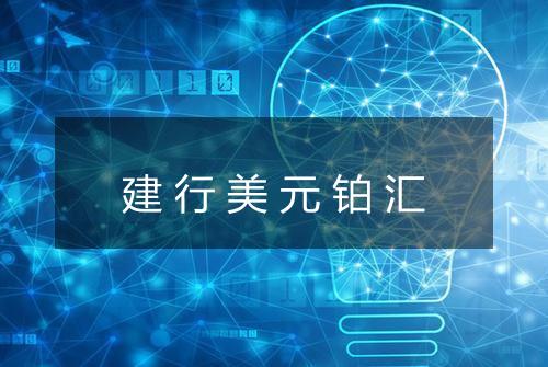 建行美元铂汇